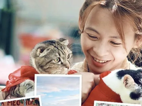 Căn chung cư không đủ chỗ cho đàn mèo, cô gái dồn tiền tiết kiệm, bỏ phố lên rừng làm nông dân