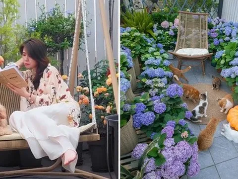 Cải tạo sân thượng 70m2 thành vườn cổ tích cho 6 chú mèo và 1 chú chó chơi đùa