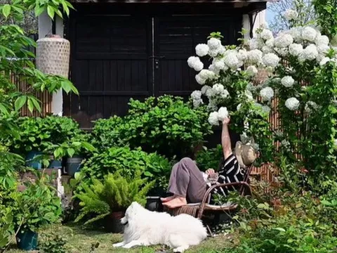 Chi 1,6 tỷ xây nhà, làm vườn đẹp như phim hoạt hình để sống một mình ở quê