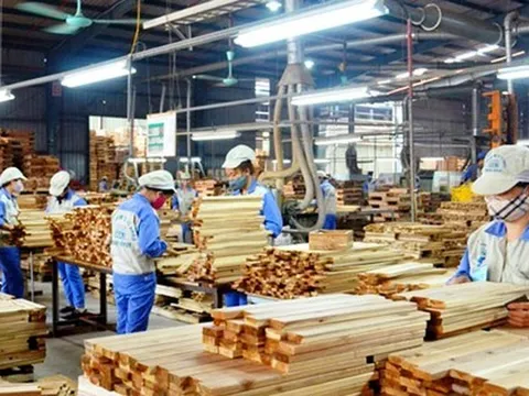 Doanh nghiệp gỗ ‘phản pháo’ việc bị chậm hoàn hơn 6.000 tỷ đồng thuế VAT
