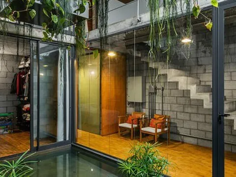 Ngôi nhà ống càng ngắm càng mê nhờ khu vườn xanh mướt