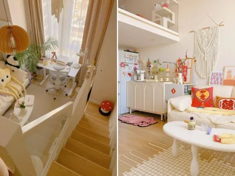 Căn hộ 23m2 của cô gái độc thân 'đốn tim' người xem vì sự gọn gàng, xinh xắn