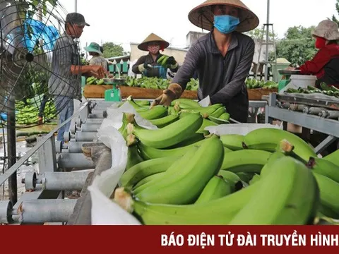 Bức tranh xuất khẩu sáng dần