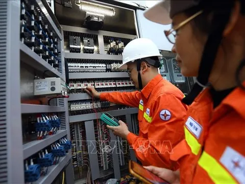 Tổng giám đốc EVN chịu trách nhiệm nội dung thanh tra cung ứng điện