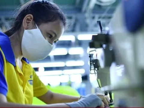 Chưa được hoàn thuế, vì sao doanh nghiệp 'than' mất cả gốc và lãi?