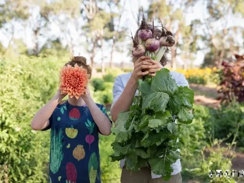 Bỏ phố về quê, sau 5 năm, cặp vợ chồng ôm món nợ 600 triệu đồng vội trở lại thành phố để tìm cơ hội: Không có tiền thì ở đâu cũng áp lực