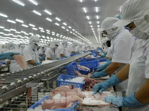 Thủy sản Việt Nam xuất đi các nước giảm mạnh, nhất là Mỹ