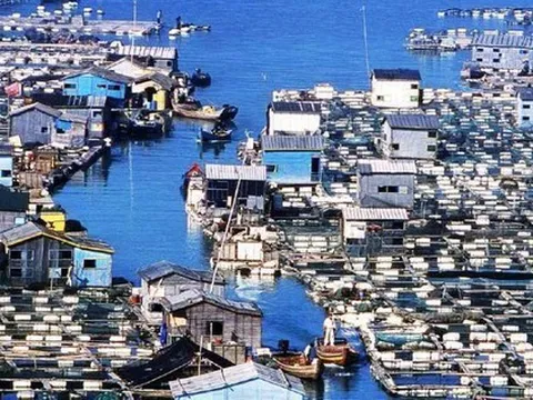 'Ngôi làng trên biển' ở Trung Quốc: Nhà cửa nổi lênh đênh, cuộc sống tiện nghi không thua trên đất liền