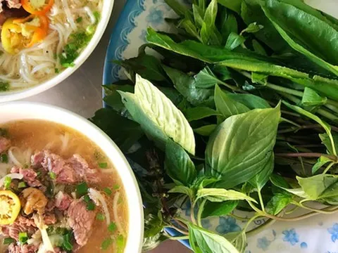 Top 10 món ăn đường phố Việt Nam: Hành trình khám phá hương vị và kết cấu ẩm thực