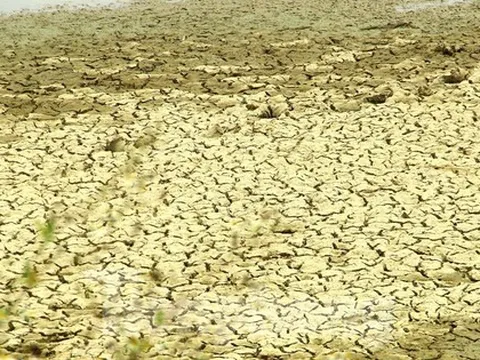 Nắng nóng khốc liệt, nhiều hồ đập ở Nghệ An cạn trơ đáy