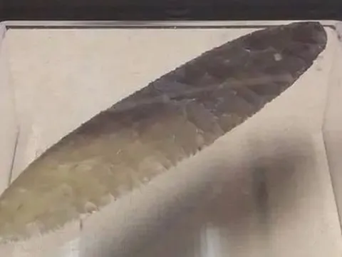 Cậu học sinh nhặt được chiếc lá, chuyên gia khảo cổ tuyên bố “Đây là bảo vật vô giá”