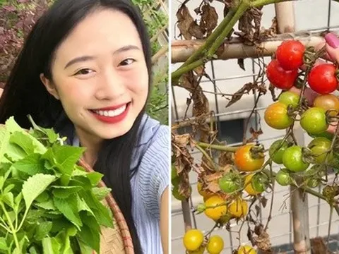 Quây sân thượng thành vườn: Bắt sâu 20 phút mỗi ngày, dư rau thì cả nhà liên hoan lẩu nướng