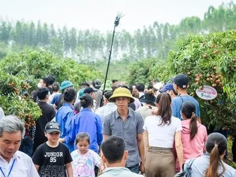 Biển người nô nức tham dự chương trình du lịch Lục Ngạn mùa vải chín