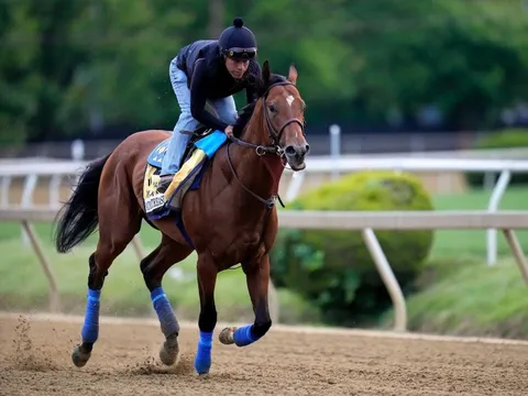 Kỳ lạ giới doanh nhân, CEO đổ xô đi xem huấn luyện ngựa: Người thường nghĩ trò vô bổ, người am hiểu sẽ thấy cơ hội hái ra tiền