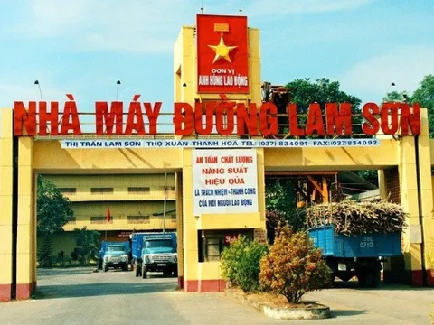 Bức tranh tài chính của "ông lớn" ngành mía đường xứ Thanh