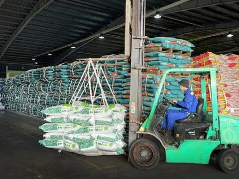 Điều chỉnh giảm thuế xuất khẩu phân bón NPK về mức 0% từ ngày 15/7