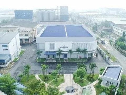 Một cổ phiếu mệnh giá vài nghìn đồng liên tục có mức tăng kịch trần
