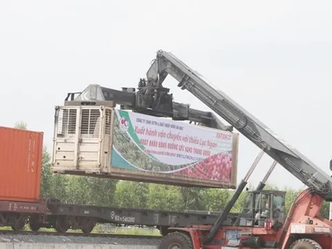 Bắc Giang lần đầu xuất vải thiều sang Trung Quốc bằng đường sắt