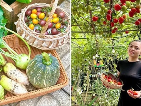 Chi 10 triệu cho mảnh vườn thứ hai sau khi đã có "vựa rau" rộng 70m2: Nhìn mê, chăm thì không dễ!