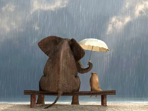 Đầu tư 4 khoản này, không sợ lỗ bởi sẽ thu được "lợi nhuận" khổng lồ