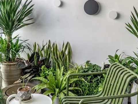 Tạo vườn xanh ở ban công để hạ nhiệt cho ngôi nhà