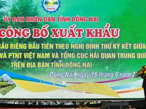 Đồng Nai dự kiến xuất 20 ngàn tấn sầu riêng sang Trung Quốc