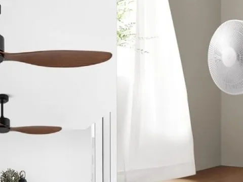 Mùa hè nên dùng quạt cây hay quạt trần?
