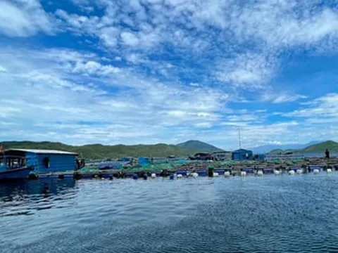 [ĐIỀU TRA] Côn đồ lộng hành ở vịnh Vân Phong (*): Ép giá, thu lợi "khủng"