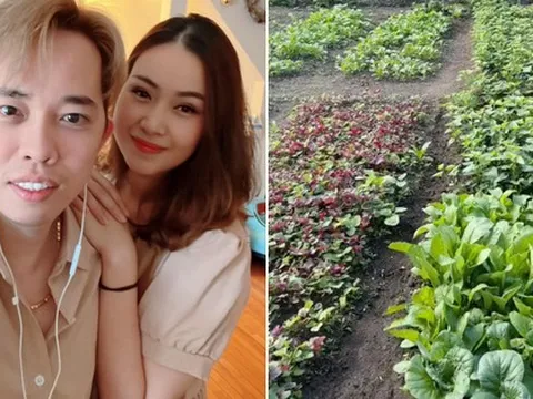 Trồng khoai lang, rau dền, mồng tơi tại Mỹ: Ra vườn cả chục lần mỗi ngày vì ngắm thôi cũng vui