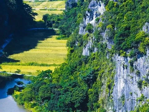 Thưởng ngoạn mùa vàng Tam Cốc