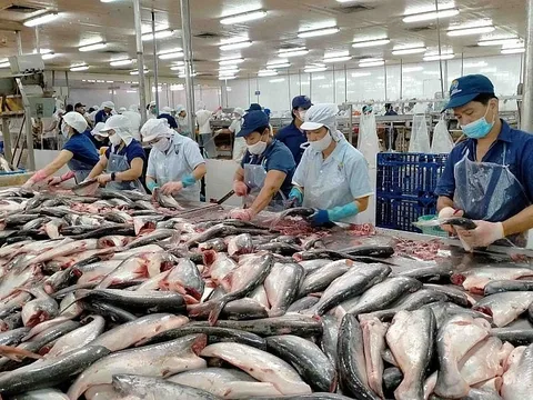 VASEP đề xuất một số giải pháp tháo gỡ khó khăn, hỗ trợ DN thủy sản