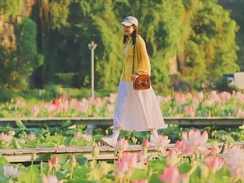 Đi Ninh Bình ngắm mùa sen nở rộ đẹp mê ly với chi phí chỉ khoảng 1 triệu đồng