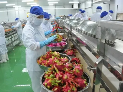 TS.Võ Trí Thành: Không thể duy trì tăng trưởng xuất khẩu 2 con số mà phải nhìn vào giá trị gia tăng!