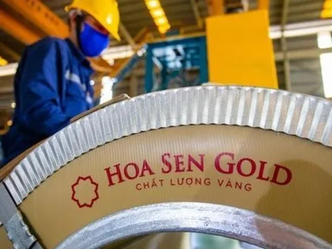 Quỹ ngoại Dragon Capital tích cực "gom hàng" tại Hoa Sen Group