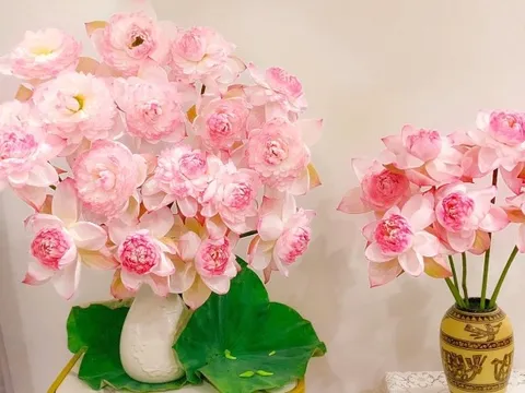 Mê mẩn ngắm các loài sen quý và cách cắm độc đáo của hội chị em đảm đang