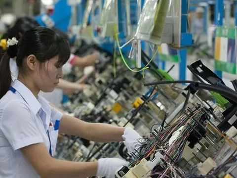 Doanh nghiệp lội ngược dòng