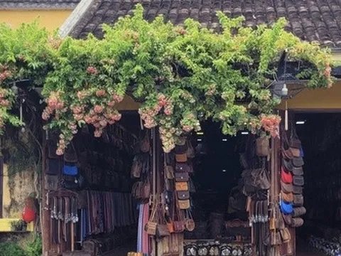 Báo quốc tế ngợi ca phố cổ Hội An mang vẻ đẹp quyến rũ vượt thời gian