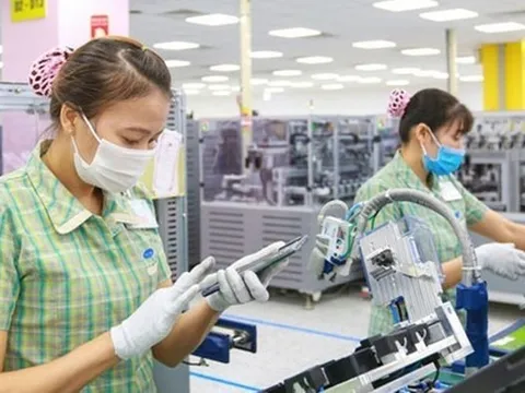 Thương mại giảm kỷ lục, doanh nghiệp Việt 'hụt hơi'