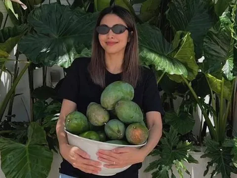 Tăng Thanh Hà thích thú khoe xoài nhà trồng trong biệt thự triệu đô