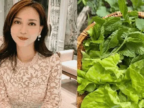 Khu vườn trồng nhiều rau thơm, bầu bí đậm vị quê hương ở Mỹ