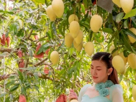 Đồng Tháp 'đón sóng' đầu tư Ấn Độ