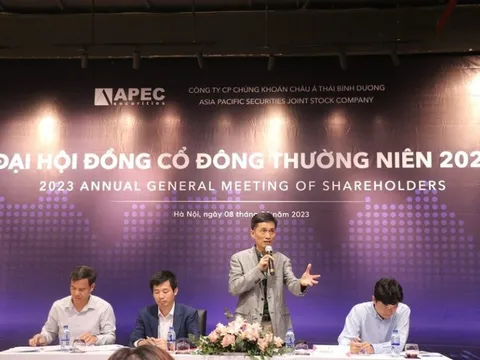 Soi sức khoẻ của 3 công ty "họ Apec"