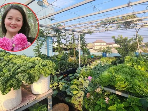 Vườn rau sân thượng rộng 100m2 ở Bình Dương: Đẹp không nỡ ăn, thành quả thu hoạch ấn tượng