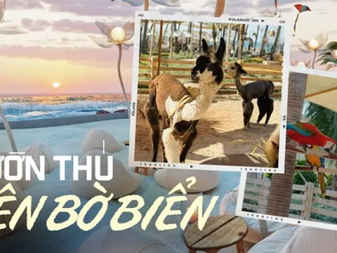 Quán cà phê trông như 'vườn thú' nằm ngay bờ biển Mũi Né, đang là địa điểm được các gia đình đua nhau tìm đến