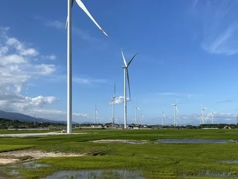 13 dự án năng lượng tái tạo hoàn thành thủ tục được phát điện lên lưới