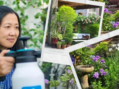 Bỏ việc văn phòng để "nghỉ hưu sớm", người phụ nữ chuyển về ngoại ô sống trong căn biệt thự với khu vườn trăm hoa