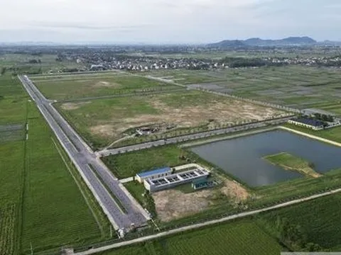 Cụm công nghiệp không bóng người, tận dụng nuôi bò được hỗ trợ 20 tỷ