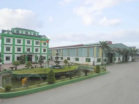 Hai doanh nghiệp bị phạt gần trăm triệu đồng do không công bố thông tin
