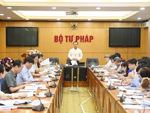 "Quân xanh, quân đỏ" trong đấu giá ngày càng tinh vi