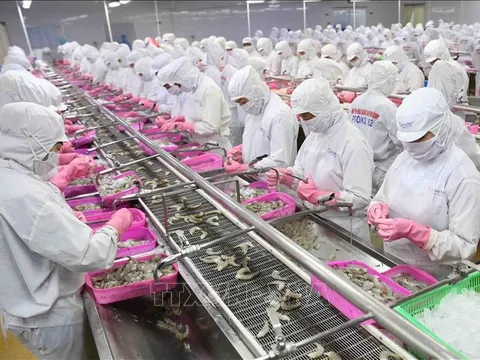 Kinh tế 6 tháng: Tập trung một số động lực chính thúc đẩy tăng trưởng